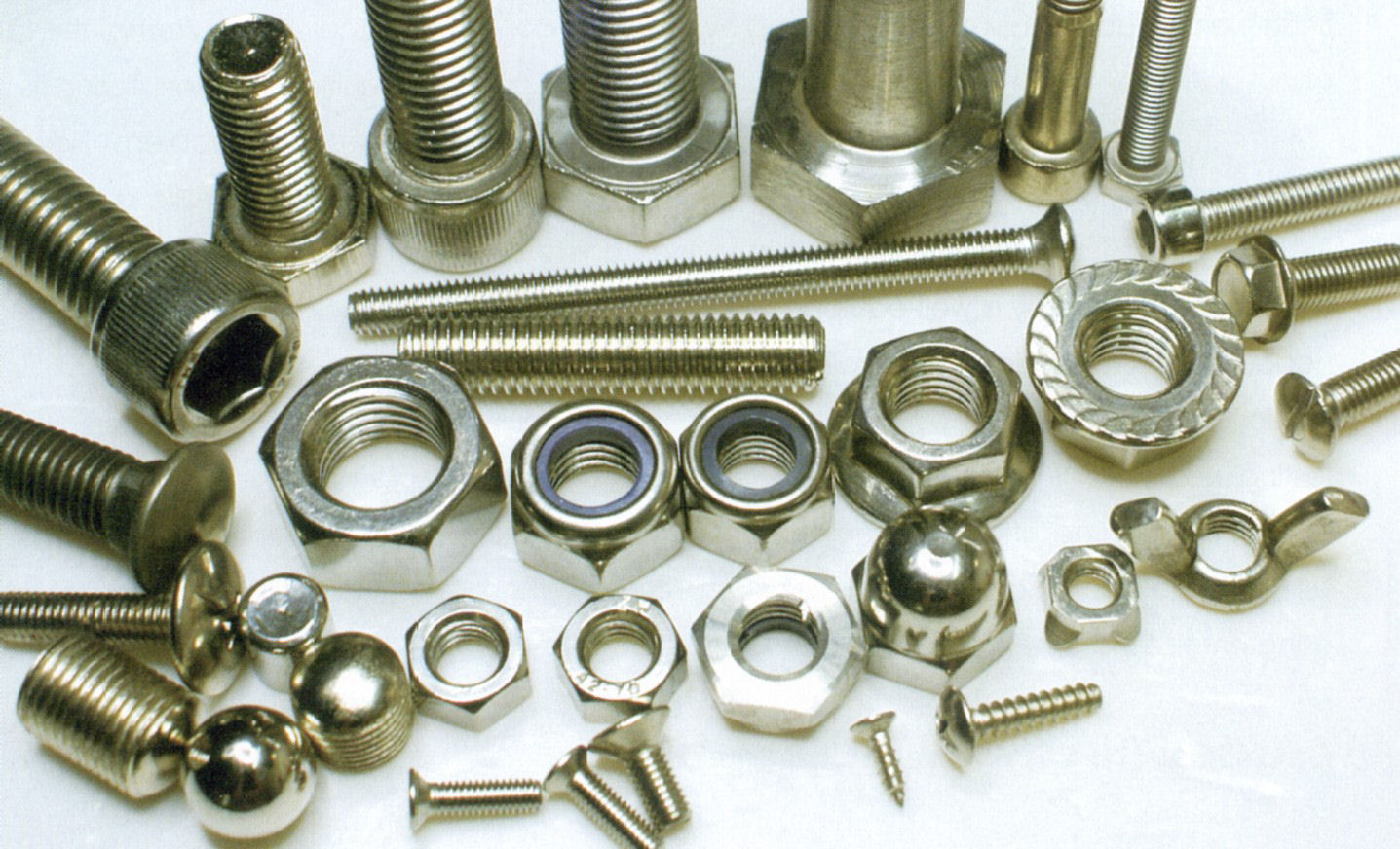 SS Fasteners & Accesories 